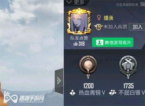 和平精英DDYS辅助